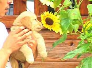 1380946128-3763615181