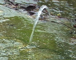 1380946130-1333482652