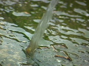 1380946130-272989179