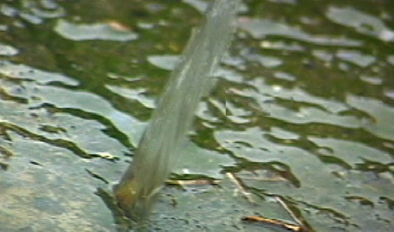 1380946130-272989179