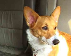 1380946132-2114538092