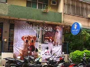 1380946133-1115825072