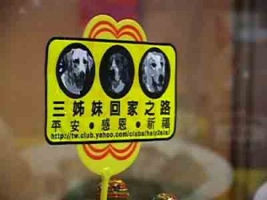 1380946133-3530307585