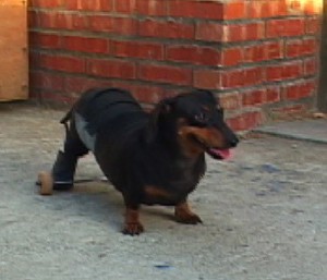 1380946138-800725090