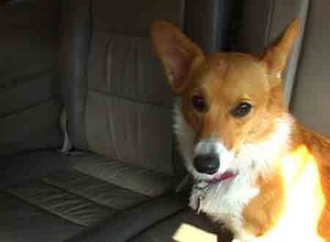 1380946146-1797437755