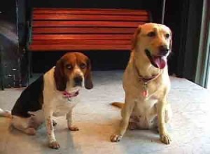 1380946146-2138107450