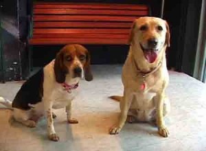 1380946146-885799383