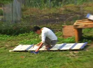 1380946147-2667059661