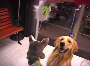 1380946148-2750694751