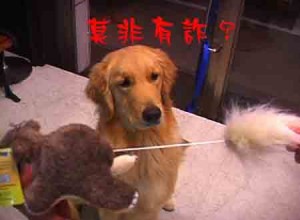 1380946149-1339975569