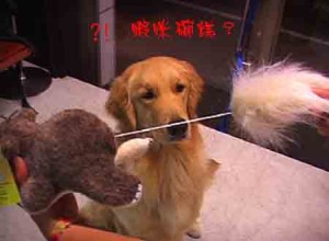 1380946149-3577279090