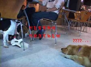 1380946150-1197423991