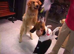 1380946150-2762780985