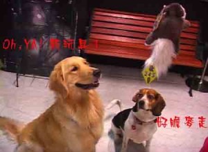 1380946150-3195695693