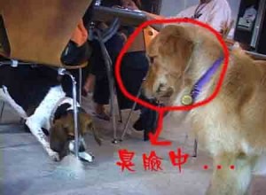 1380946151-1803793449