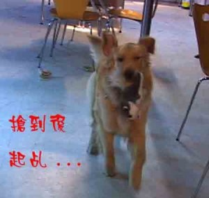 1380946151-4211859176