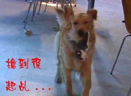 1380946151-4211859176