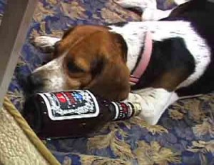 1380946154-2990523508