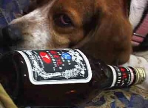 1380946155-336976545