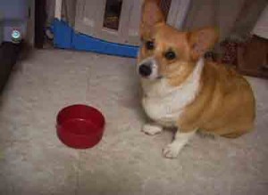 1380946156-339000492