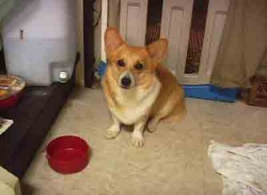 1380946156-904138722