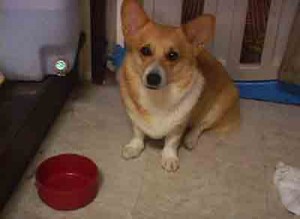 1380946157-2655421080