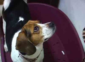 1380946158-1237746208