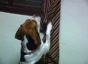 1380946158-3544002617