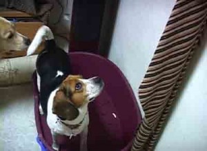 1380946158-3580053176