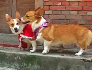 1380946160-2138537021