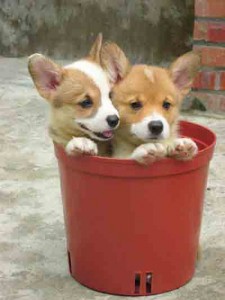 1380946160-2504829332