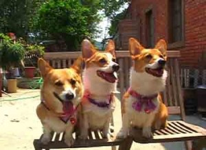 1380946161-3084389074