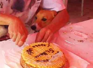 1380946166-2760023578