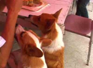 1380946167-922192573