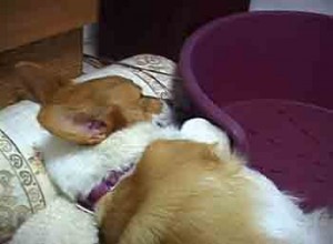 1380946173-3880517723