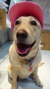 1380946173-746456147