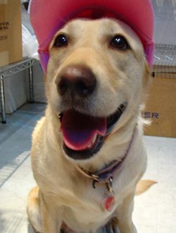 1380946173-746456147