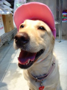 1380946174-2027815855