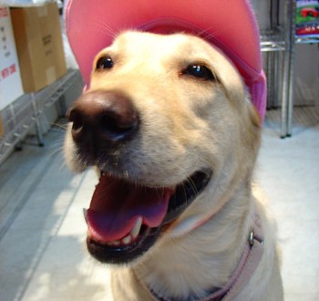 1380946174-2027815855