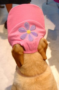 1380946174-2851053852