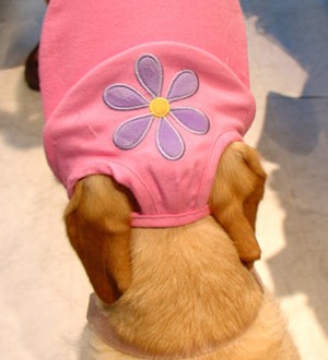 1380946174-2851053852