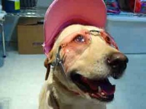 1380946175-3068813382