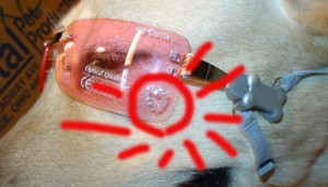 1380946176-592892908