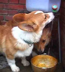 1380946178-1317327137