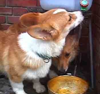 1380946178-1317327137