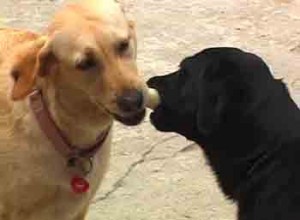 1380946179-1331440473