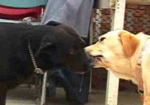 1380946179-3939836804