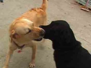 1380946180-3641862908