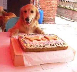 1380946185-2909952986