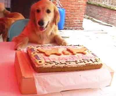 1380946185-2909952986